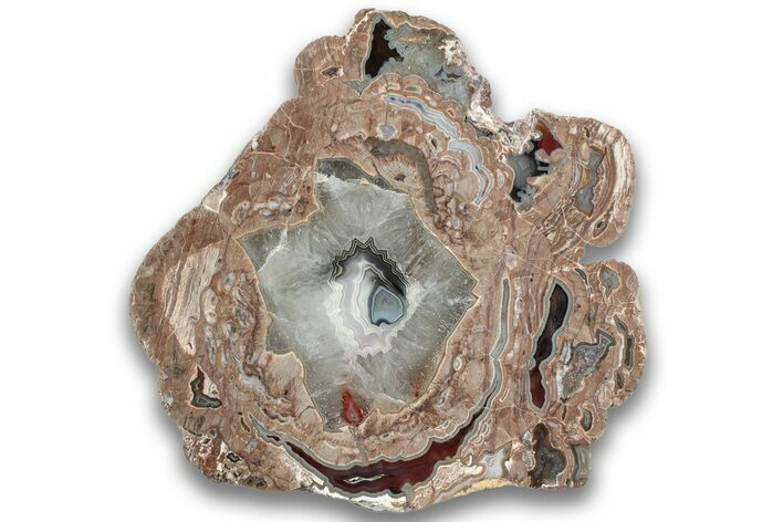 Polished Baker Ranch Thunderegg Slab - New Mexico #323775
